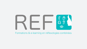 référence seo formation